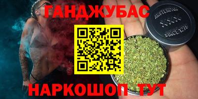 прущие грибы Вышний Волочёк