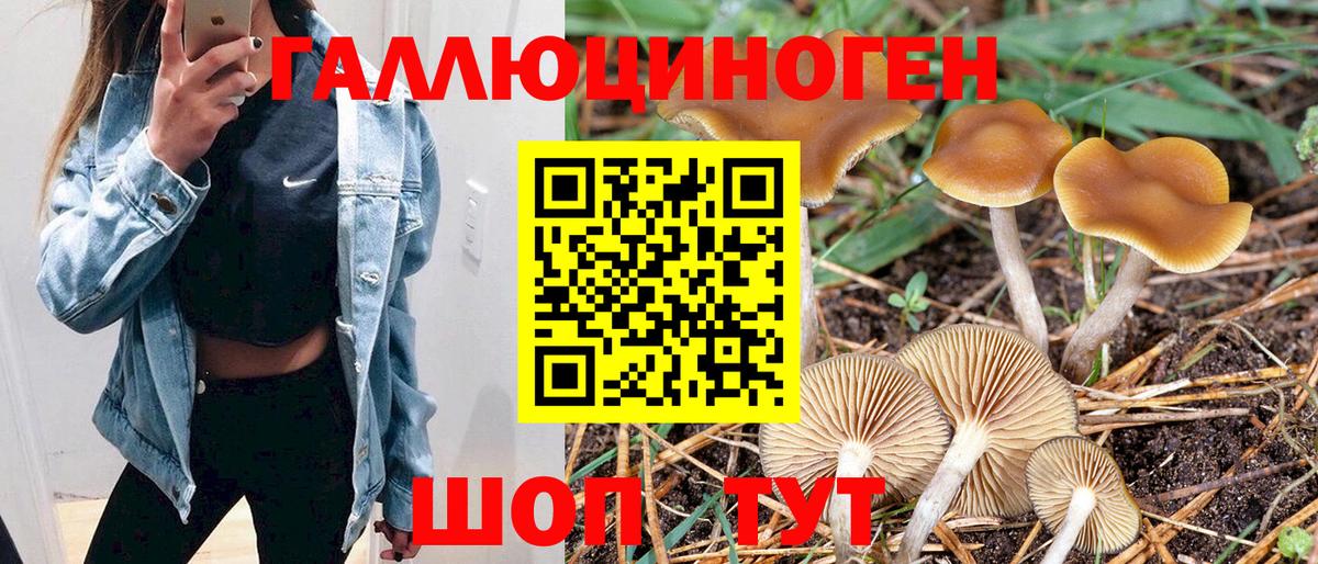 Зерноград  Галлюциногенные грибы мухоморы  Вход с VPN 