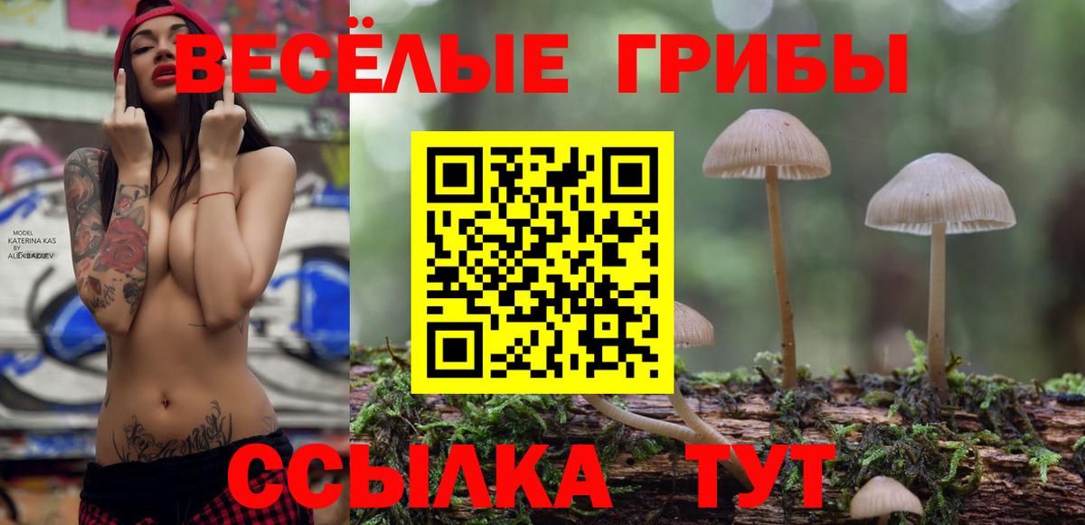 Галлюциногенные грибы ЛСД Зерноград